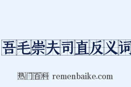 吾毛崇夫司直反义词是什么意思的图片